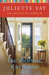 the shortest way home