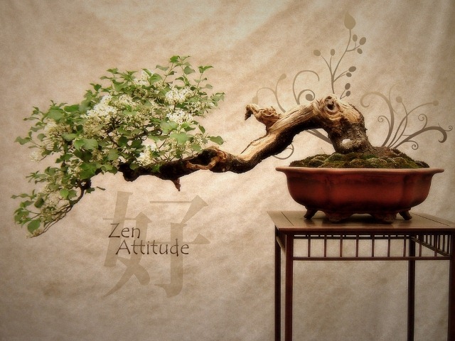 [Zen_Attitude-18%255B7%255D.jpg]