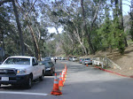 IMG00670-20100130-1200.jpg