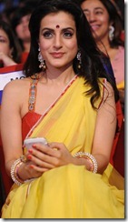Ameesha Patel in Saree Photos at TSR TV9 Awards
