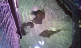 2011-11-07 11.00.33.jpg