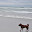 DSC_0214.jpg