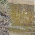 173.JPG