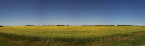 Prairie skies