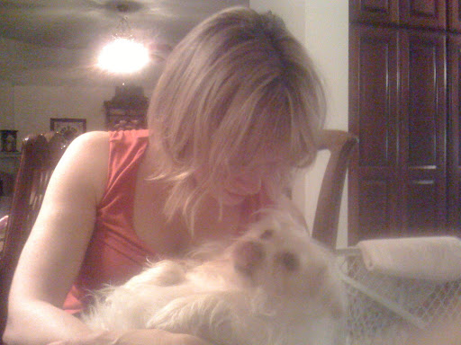 On average, dog 'owners' surveyed have about seven photos of their dogs displayed in their homes or offices.