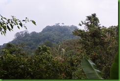 IMG_0027 IMG_0027