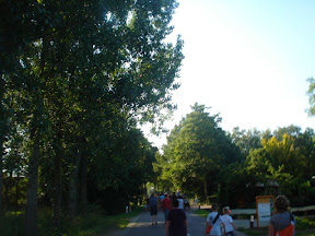 DSC04212.jpg