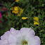 SH_Expo_0051.JPG