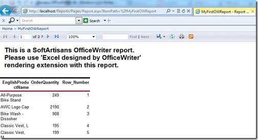 8 Preview report in IE