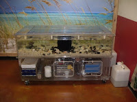 Touch Tank.JPG