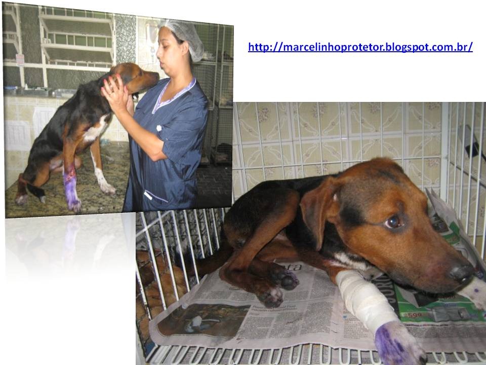 [marcelo_protetor-42.jpg]