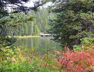 Island Park, ID