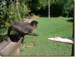 IMG_0398 IMG_0398