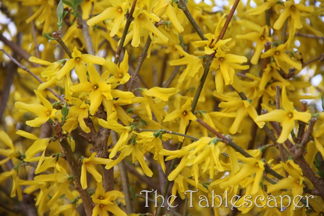 [Easter-is-Upon-Us-0147.jpg]