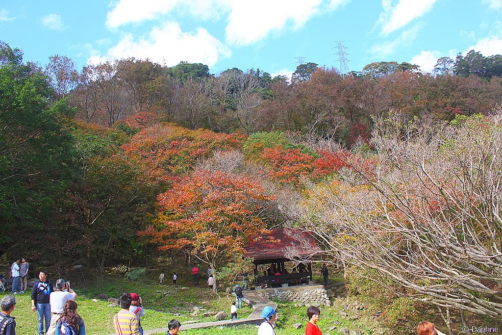 [IMG_4113%255B6%255D.jpg]