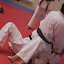 Pinselejr 2011