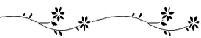 [separador50%255B3%255D.gif]