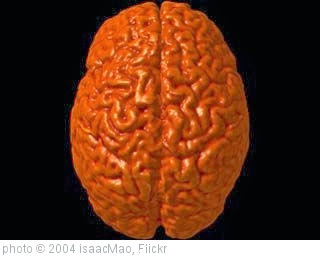 'Child brain' photo (c) 2004, IsaacMao - license: http://creativecommons.org/licenses/by/2.0/