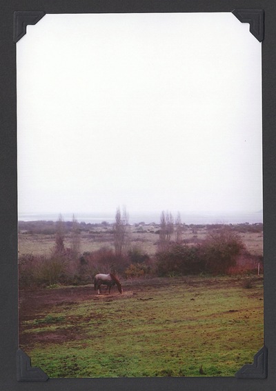 Scan-110914-0176