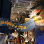 Some of the Exhibits at Te Papa - Wellington, New Zealand