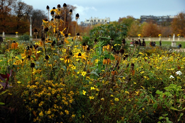 [DSC_0899a%255B3%255D.jpg]