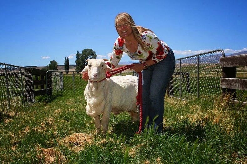 shrek-the-sheep-7 shrek-the-sheep-7
