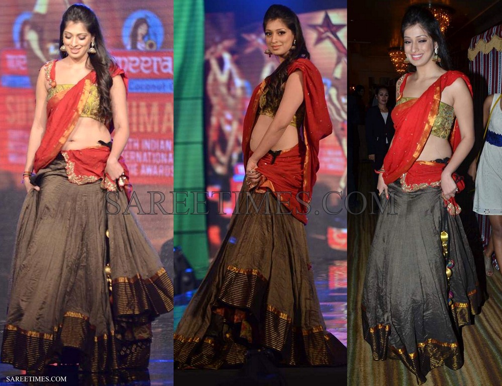 [Lakshmi_Rai_Designer_Sari%255B4%255D.jpg]