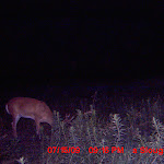 MDGC0246.JPG