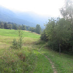 010.jpg