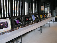 IMG_0582.JPG