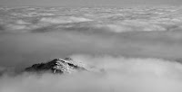 IMG_5869.jpg Photo