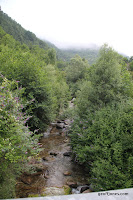IMG_1068.JPG Photo