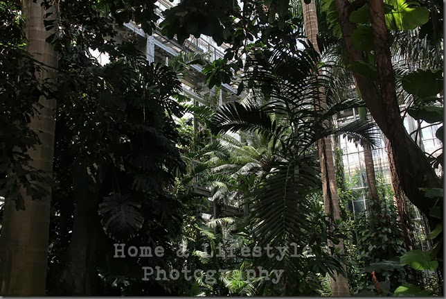 Home & Lifestyle Home & Lifestyle