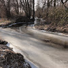 dsc06334.jpg