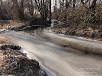 rz. Główna rz. Główna