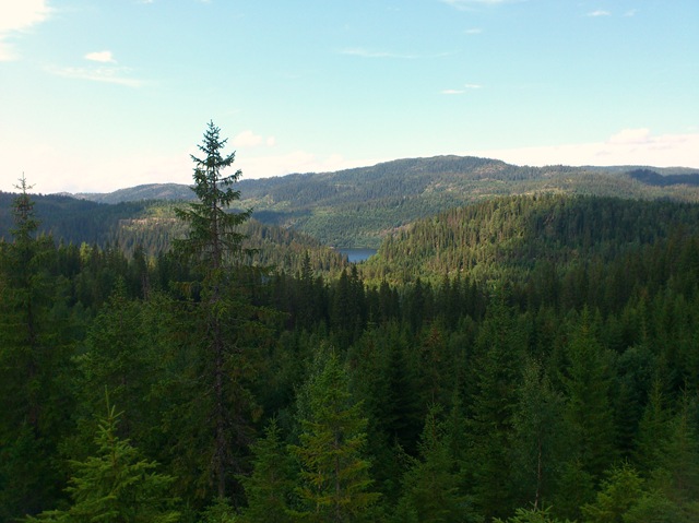 [DSC_0250%255B4%255D.jpg]