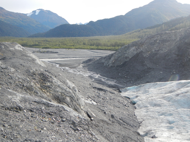 A melting tongue of Exit Glacier near Seward, Alaska, continues to dwindle and pour water into streams below, as it has been doing for decades. Photo: OSU