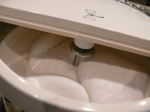 [P11002314.jpg]