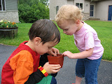 IMG_7417.JPG