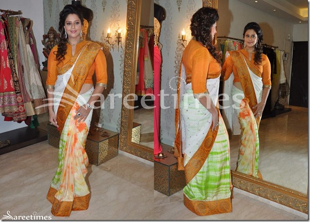 Nagma_Amy_Billimoria_Saree Nagma_Amy_Billimoria_Saree