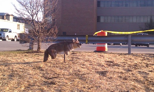 IMAG0032.jpg