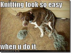 funny-dog-pictures-knitting-look-so-easy