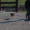 hokkaido_110.jpg