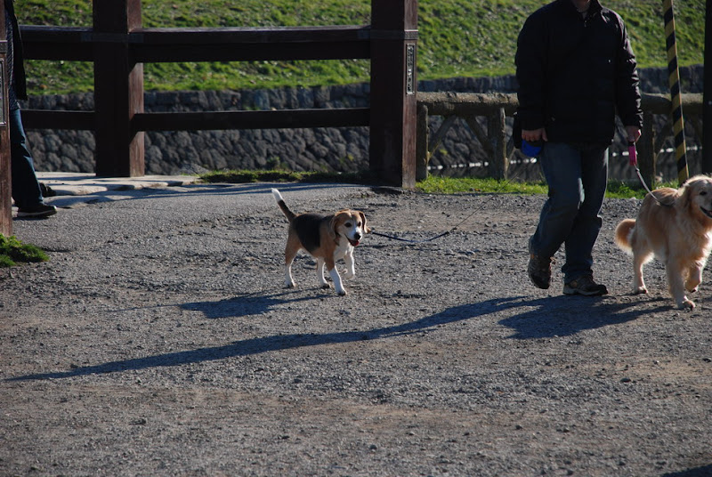 hokkaido_110.jpg