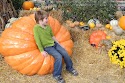 DSCN3752.JPG