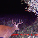 MDGC0231.JPG