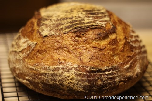 [white-poolish-bread_042%255B1%255D.jpg]