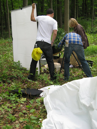 Dig a hole?  I love digging holes!  I'll be happy to help with this one for the new dogwood tree that you're planting.