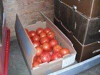 DSCF1507.JPG