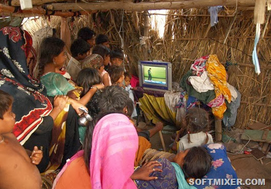 Pakistan Cricket WCUP reax Pakistan Cricket WCUP reax